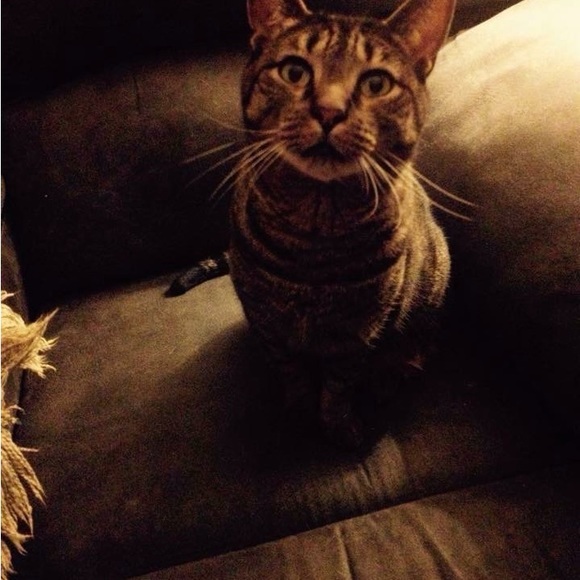 Meet your Posher, Christine - Picture 10 of 16